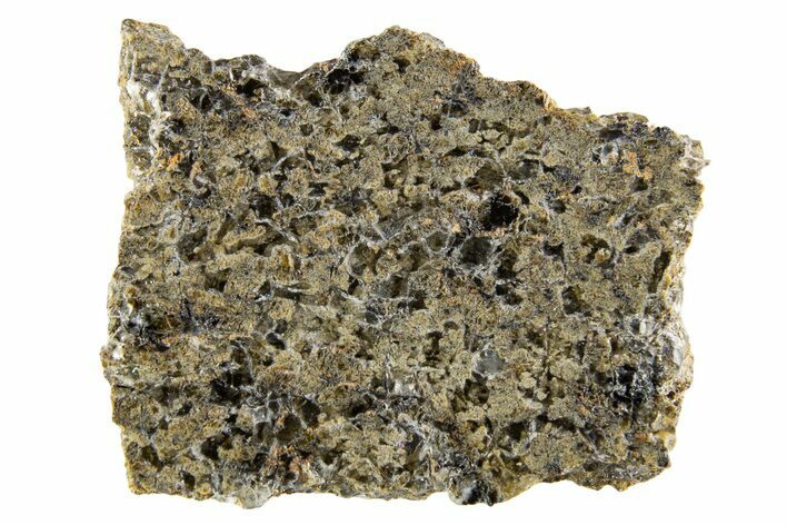 Martian Shergottite Meteorite ( g) Slice - NWA #335321